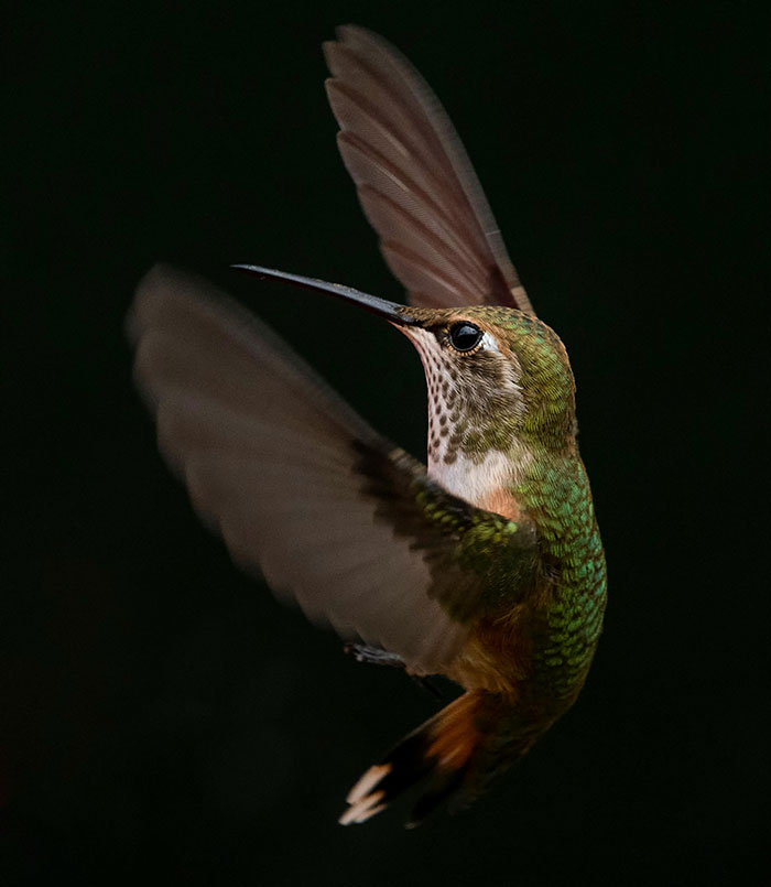 “No One To This Day Believes Me”: 30 Bizarre Things People Swear To Seeing