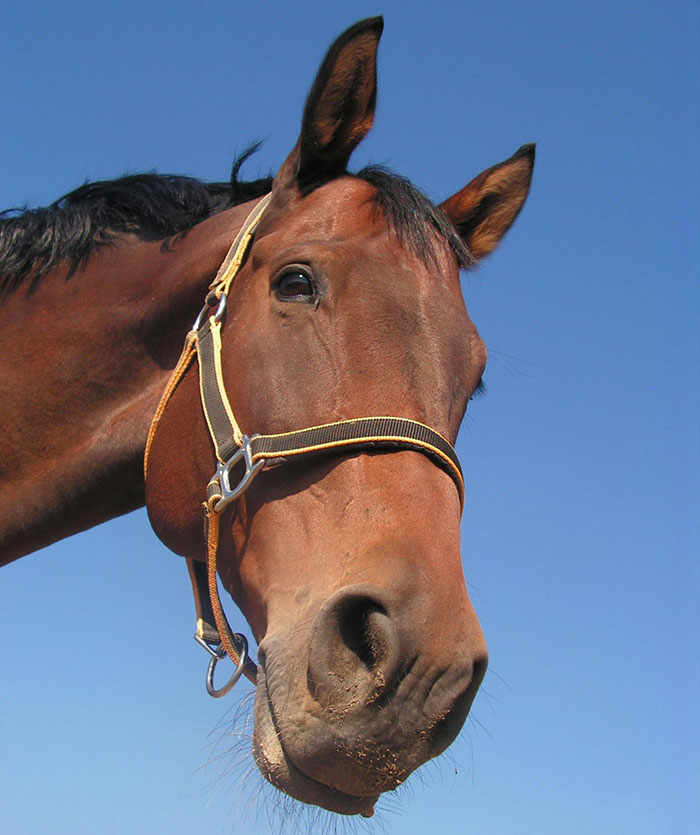 “No One To This Day Believes Me”: 30 Bizarre Things People Swear To Seeing