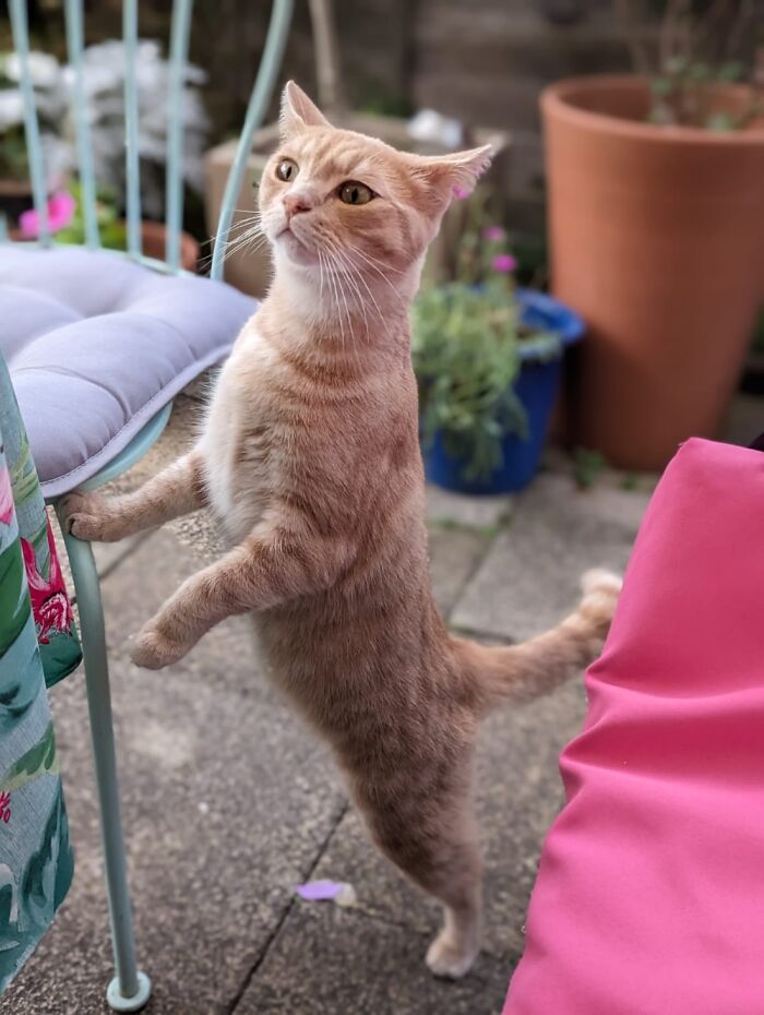 Gloria: Can I Jave Some Too Pleeeaase?