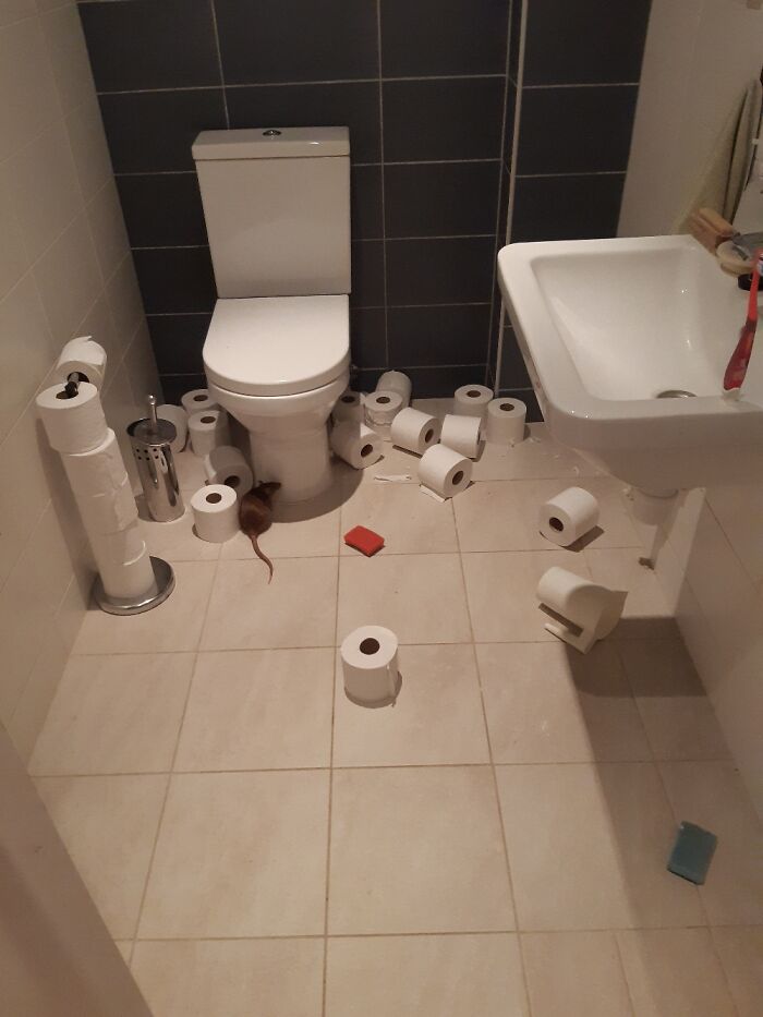 Somebody Made A Mess