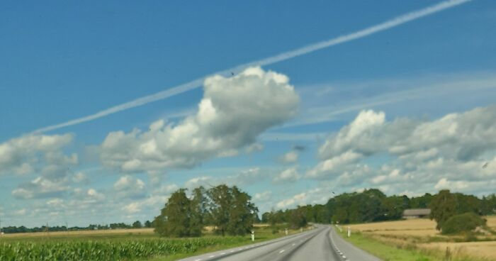 A Random Road In Estonia