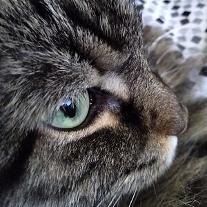 1makemyownhappy avatar