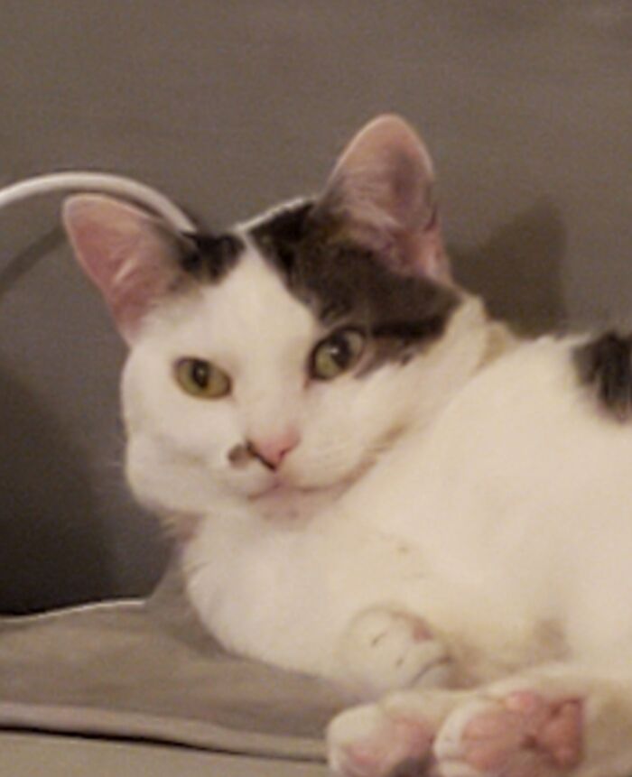 She Was Surprised Into Waking Up