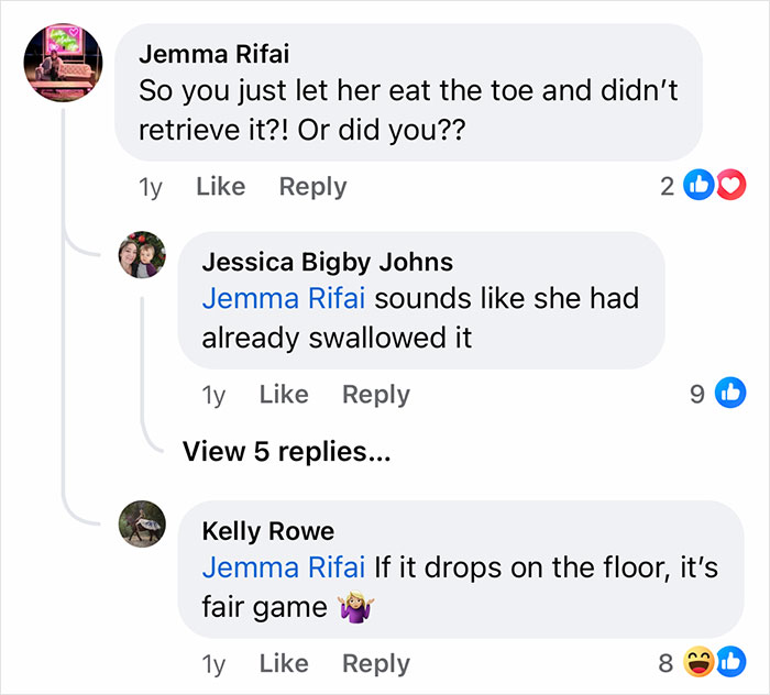 Woman Says The Bond With Her Cat Was Strengthened After The Cat Sneakily Consumed Her Toe