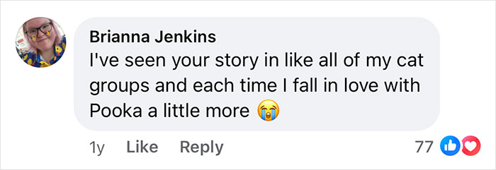 Woman Says The Bond With Her Cat Was Strengthened After The Cat Sneakily Consumed Her Toe