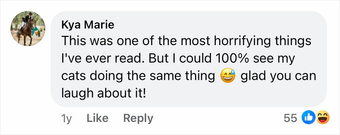 Woman Says The Bond With Her Cat Was Strengthened After The Cat Sneakily Consumed Her Toe