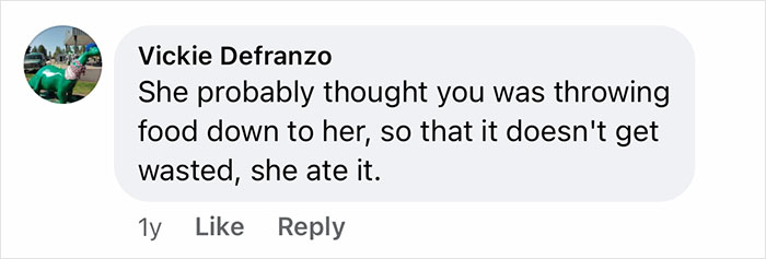 Woman Says The Bond With Her Cat Was Strengthened After The Cat Sneakily Consumed Her Toe