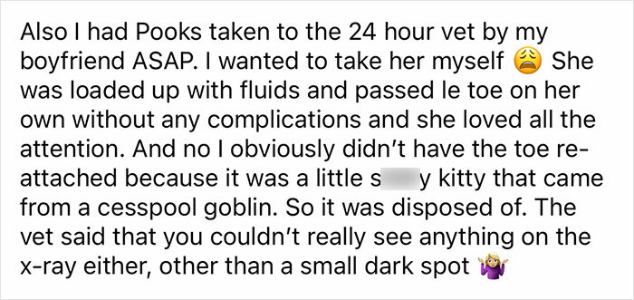 Woman Says The Bond With Her Cat Was Strengthened After The Cat Sneakily Consumed Her Toe