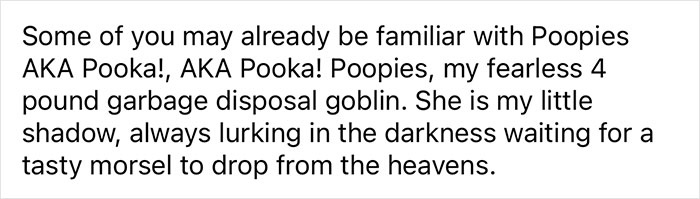 Woman Says The Bond With Her Cat Was Strengthened After The Cat Sneakily Consumed Her Toe