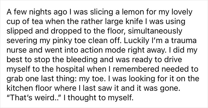 Woman Says The Bond With Her Cat Was Strengthened After The Cat Sneakily Consumed Her Toe