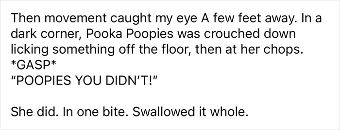 Woman Says The Bond With Her Cat Was Strengthened After The Cat Sneakily Consumed Her Toe