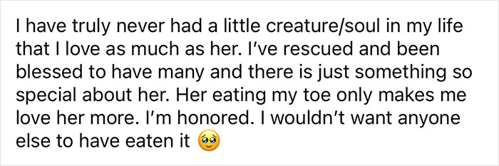 Woman Says The Bond With Her Cat Was Strengthened After The Cat Sneakily Consumed Her Toe