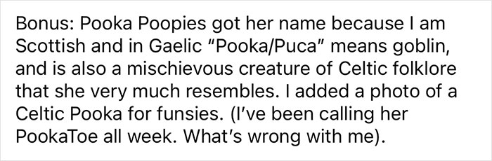 Woman Says The Bond With Her Cat Was Strengthened After The Cat Sneakily Consumed Her Toe
