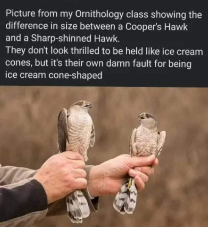 Clever-Science-Memes