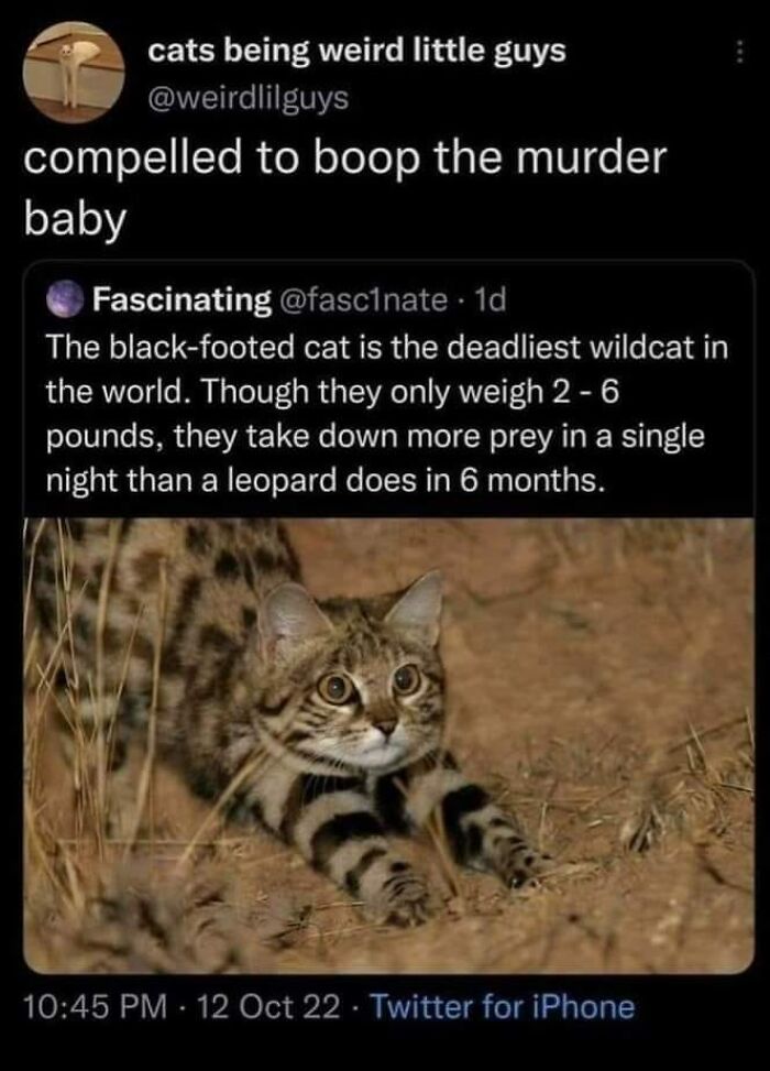 Clever-Science-Memes