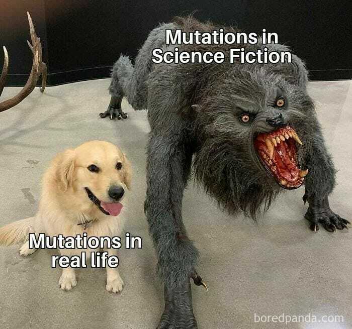 Clever-Science-Memes