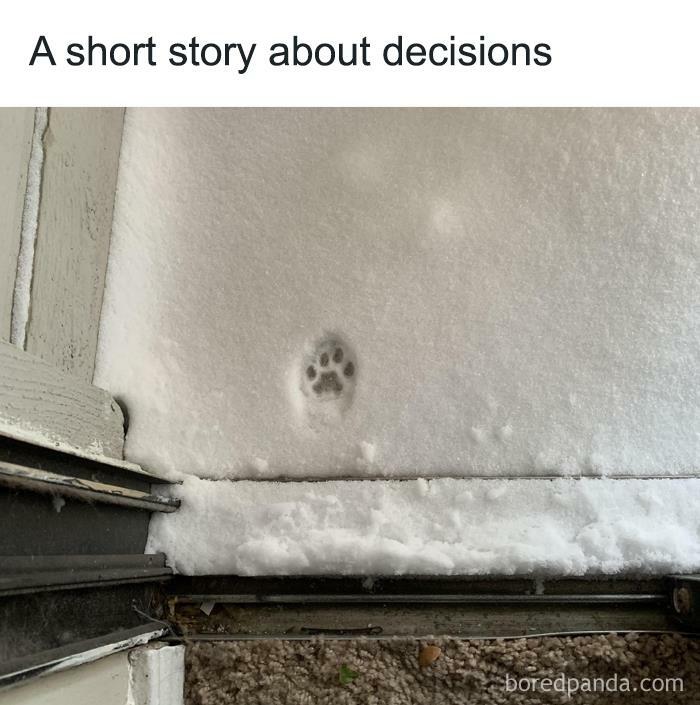 Funny animal meme of a single paw print in snow at door, captioned "A short story about decisions," humorously depicts hesitation.
