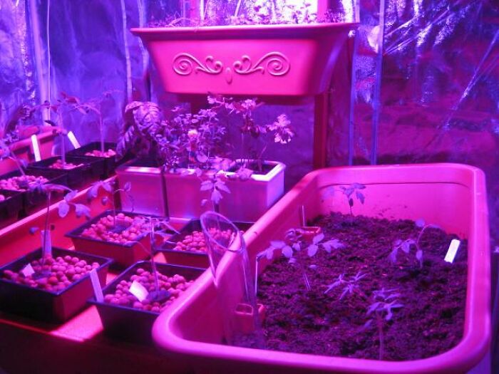 “The Carpet Was Just Like Squish Squish Squish”: 30 Wild Things Workers Saw In Clients’ Homes