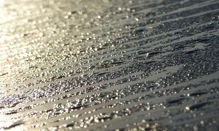 “The Carpet Was Just Like Squish Squish Squish”: 30 Wild Things Workers Saw In Clients’ Homes