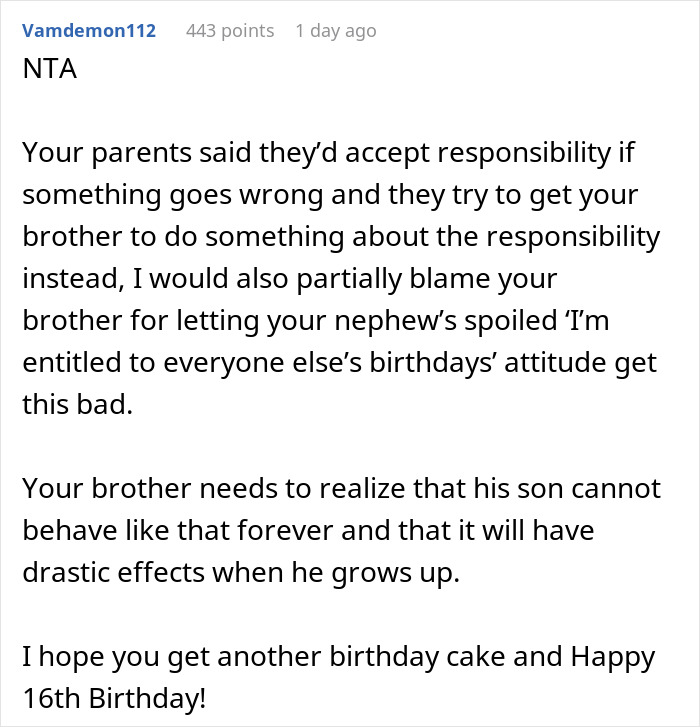 Parents Ignore Teen’s Request To Not Invite 5 Y.O. Nephew To B-Day Party, It Ends In Disaster - 15
