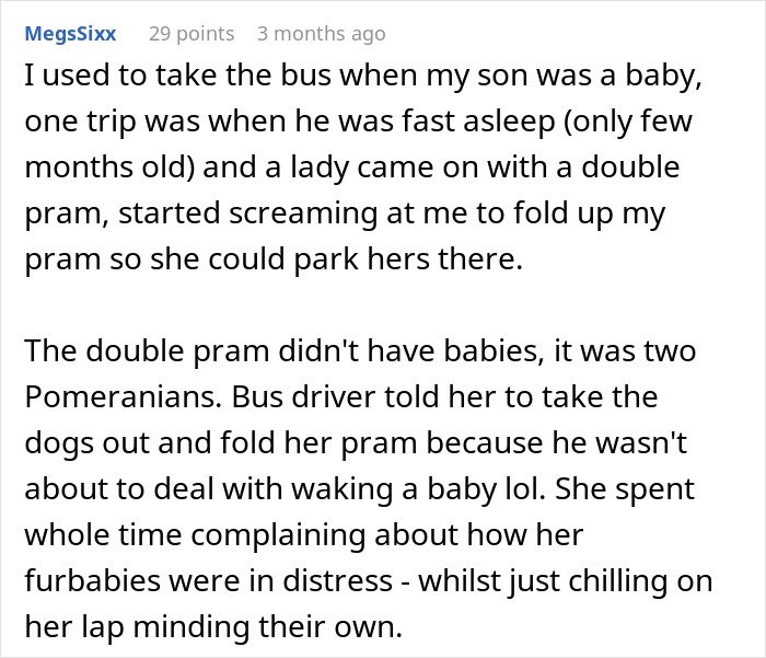 Entitled Mom Expects Person In Wheelchair To Walk So She Can Park Her Stroller, Gets Laughed At