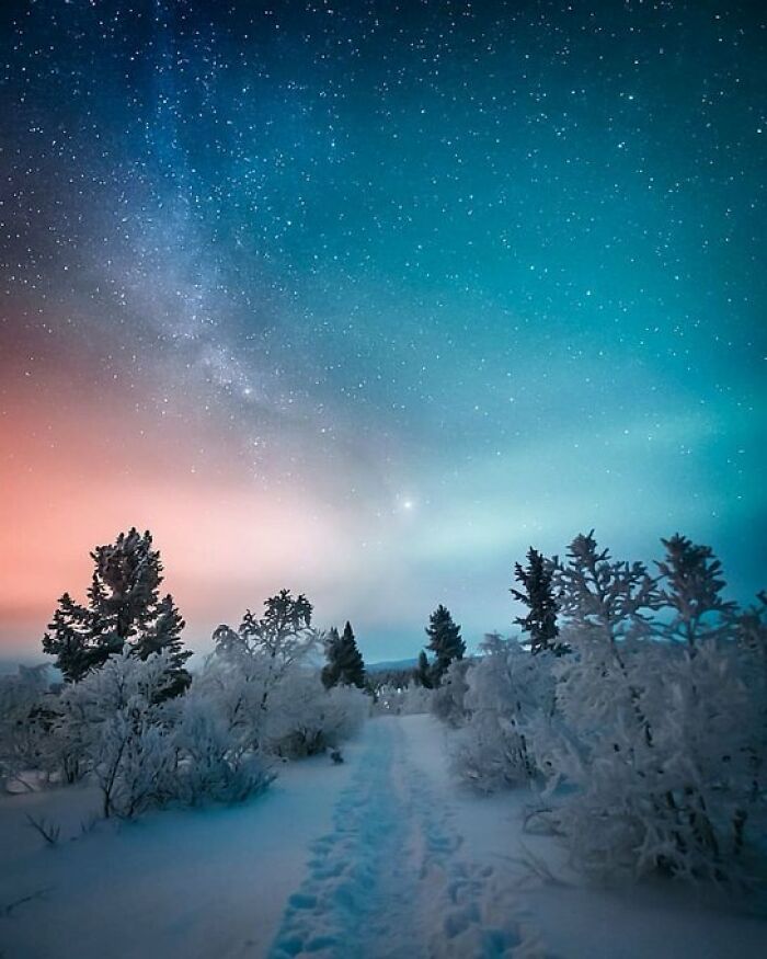 If You’re Feeling Blue, These 50 Pics Might Brighten Your Day