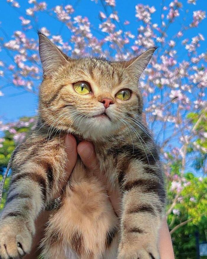 If You’re Feeling Blue, These 50 Pics Might Brighten Your Day