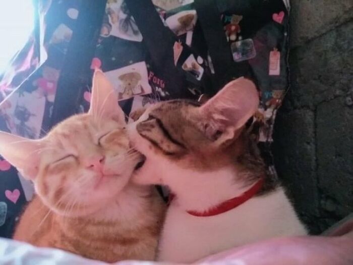 If You’re Feeling Blue, These 50 Pics Might Brighten Your Day