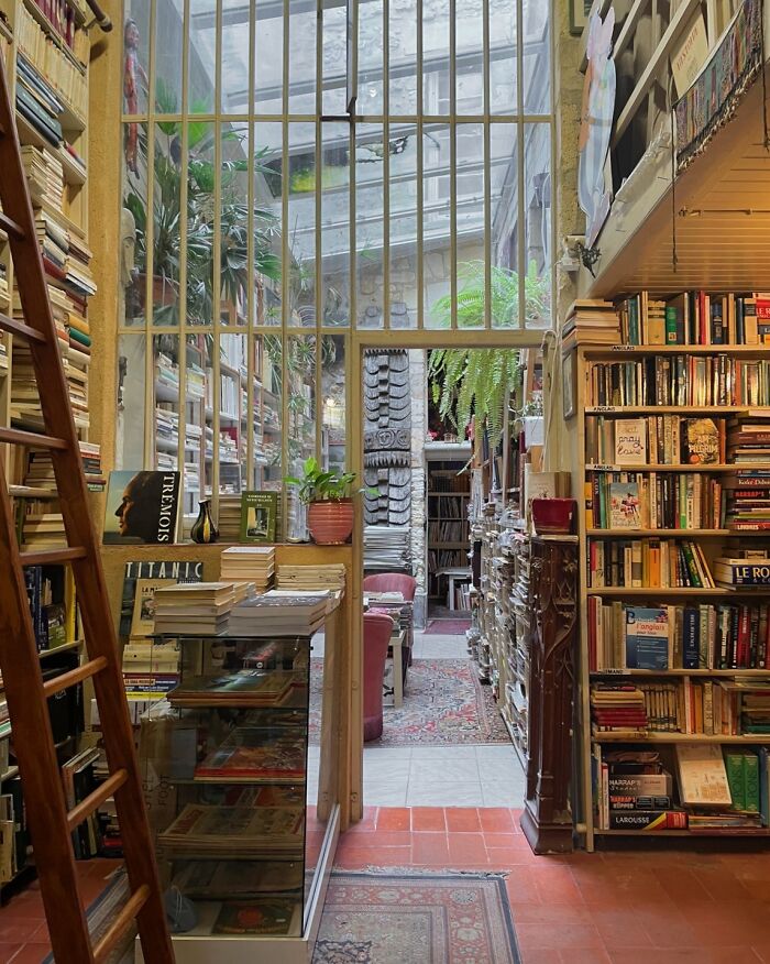 If You’re Feeling Blue, These 50 Pics Might Brighten Your Day