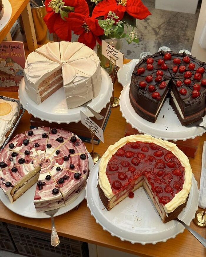 If You’re Feeling Blue, These 50 Pics Might Brighten Your Day