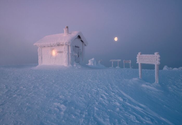 If You’re Feeling Blue, These 50 Pics Might Brighten Your Day