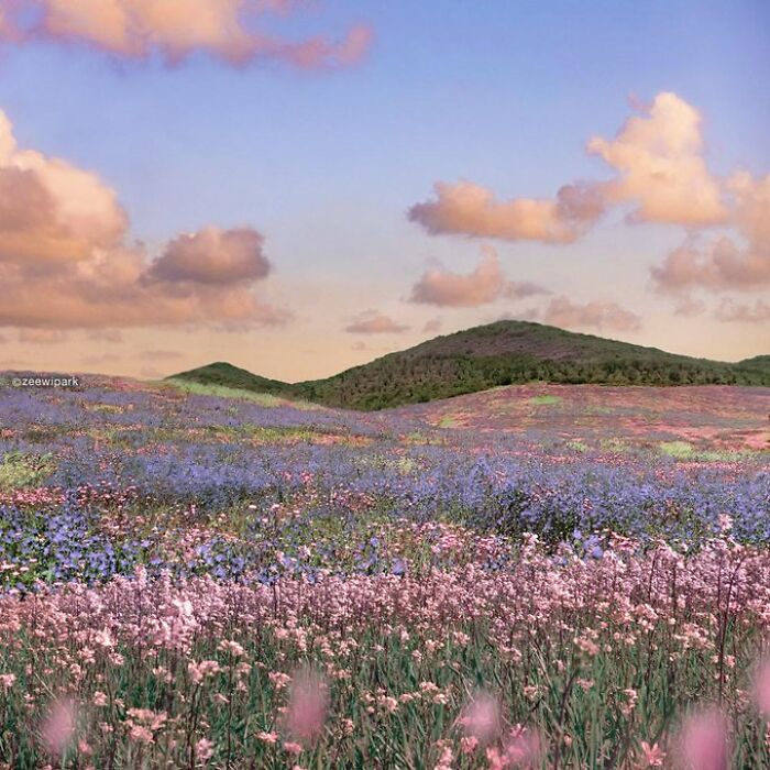 If You’re Feeling Blue, These 50 Pics Might Brighten Your Day