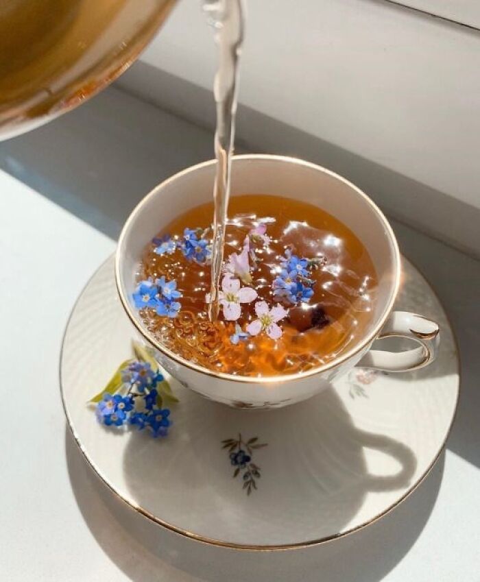 If You’re Feeling Blue, These 50 Pics Might Brighten Your Day