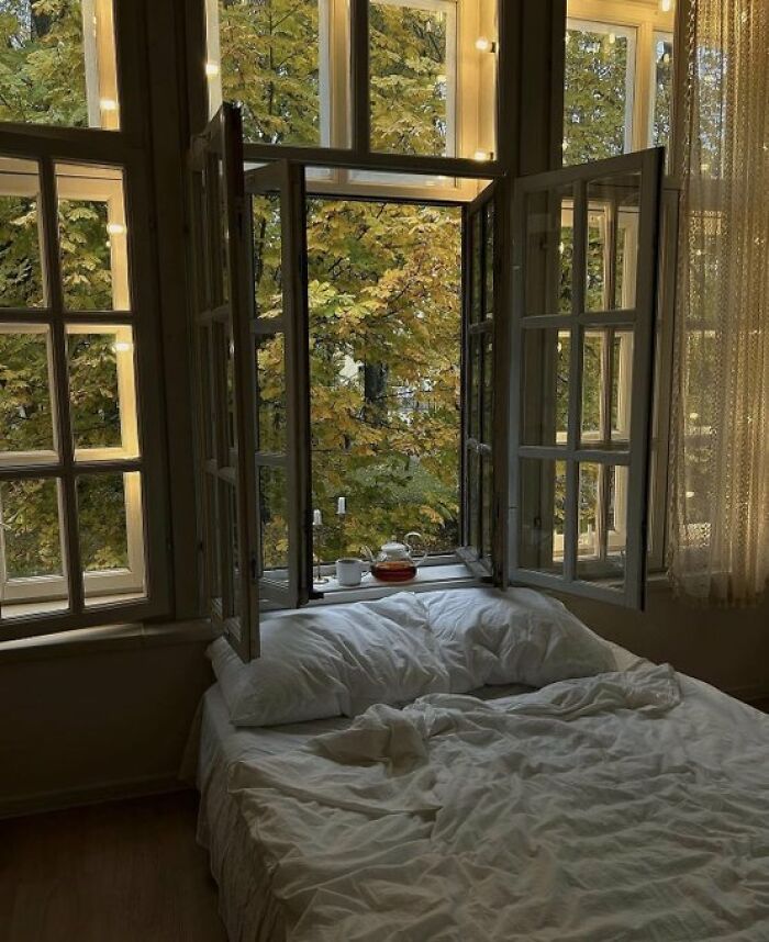 If You’re Feeling Blue, These 50 Pics Might Brighten Your Day