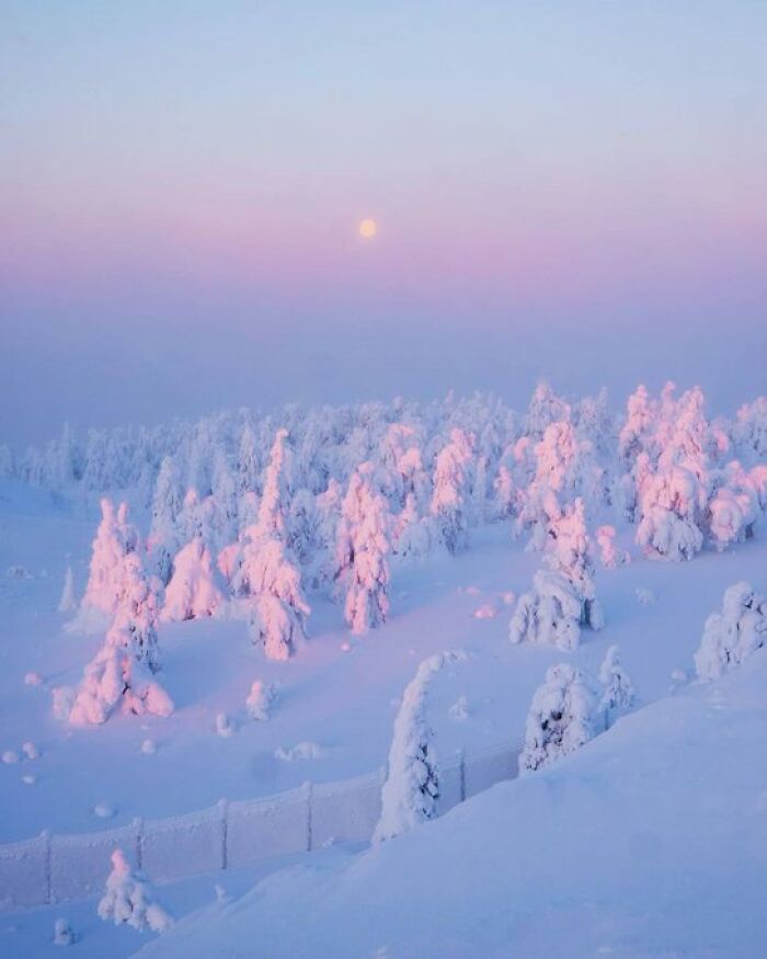 If You’re Feeling Blue, These 50 Pics Might Brighten Your Day