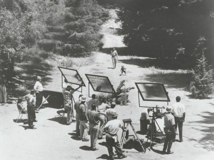 The Stroll That Started It All, 1960