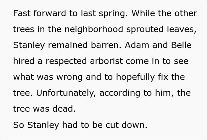 'Karen' Sues Neighbors Over Cutting A Tree, Makes A Fool Of Herself In Court 'Karen' Sues Neighbors Over Cutting A Tree, Makes A Fool Of Herself In Court