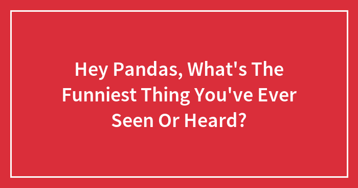 Hey Pandas, What’s The Funniest Thing You’ve Ever Seen Or Heard? (Closed)