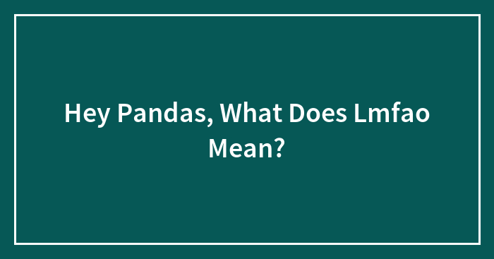 Hey Pandas, What Does Lmfao Mean?