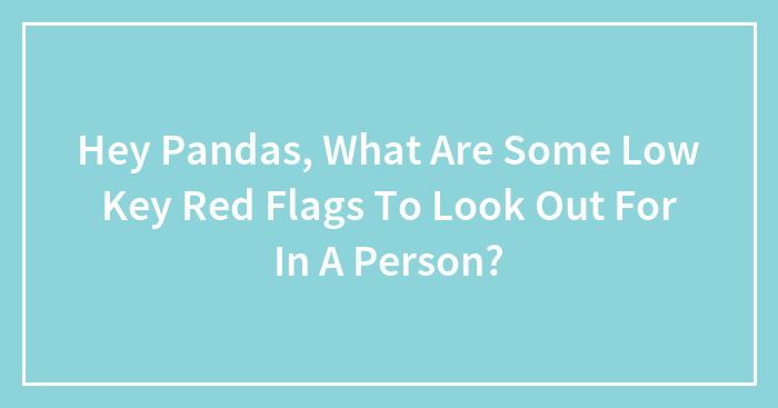 Hey Pandas, What Are Some Low Key Red Flags To Look Out For In A Person? (Closed)