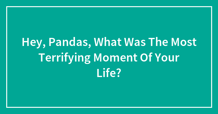 Hey, Pandas, What Was The Most Terrifying Moment Of Your Life?