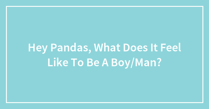 Hey Pandas, What Does It Feel Like To Be A Boy/Man?