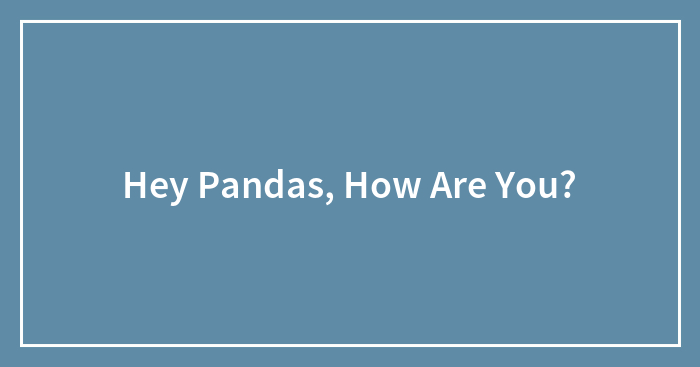 Hey Pandas, How Are You?