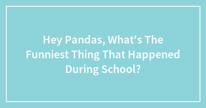 Hey Pandas, What’s The Funniest Thing That Happened During School? (Closed)