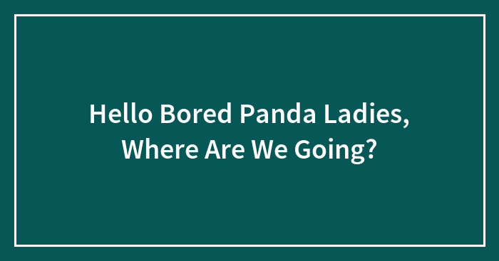 Hello Bored Panda Ladies, Where Are We Going?