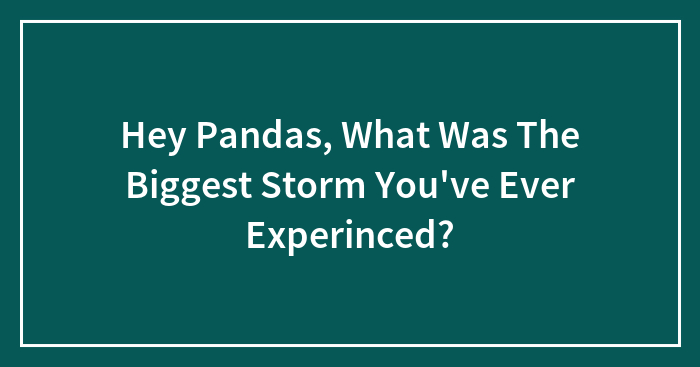 Hey Pandas, What Was The Biggest Storm You’ve Ever Experinced? (Closed)