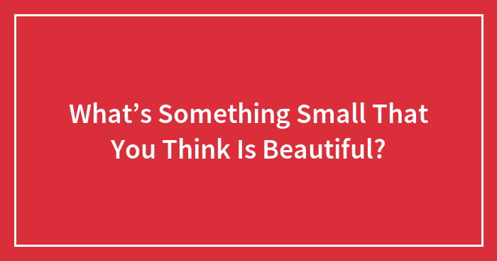 What’s Something Small That You Think Is Beautiful?