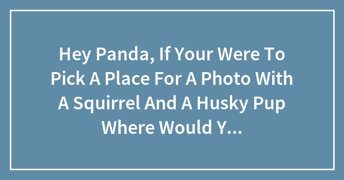 Hey Panda, If Your Were To Pick A Place For A Photo With A Squirrel And A Husky Pup Where Would You Be And Why.