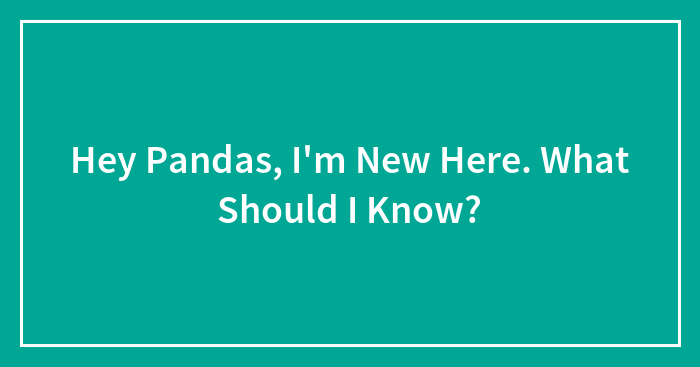 Hey Pandas, I’m New Here. What Should I Know?