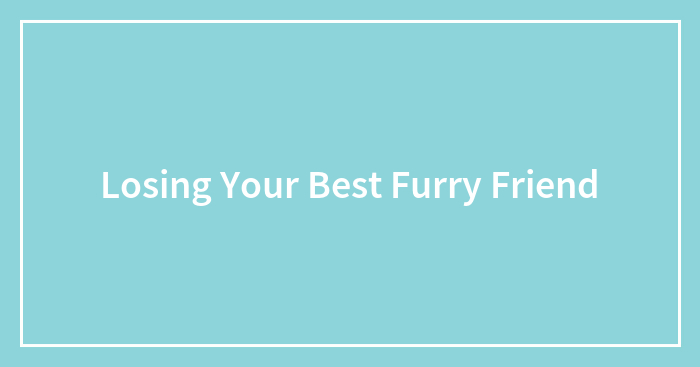 Losing Your Best Furry Friend